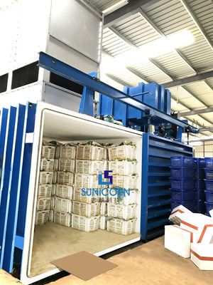 China 10 Paletten-Vakuumkühlungs-Maschine, Vakuumkühle Kammer für Gemüse fournisseur