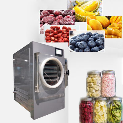 China Vakuum Mini Freeze Dryer For Home fournisseur