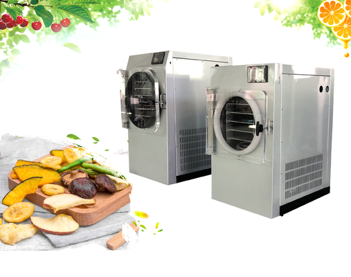 China Leichtes Mini Freeze Dryer Machine For-Frucht-Gemüse fournisseur