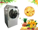 Mini Food Food Freeze Drying-Maschinen-elektrische Heizung fournisseur