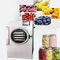 Elektrische Heizung SUS304 Mini Freeze Drying Machine für Nahrung fournisseur